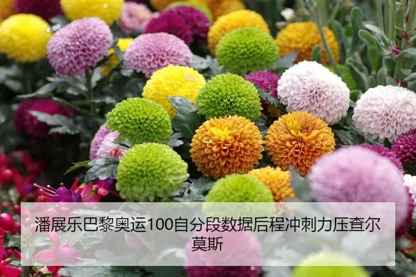 潘展乐巴黎奥运100自分段数据后程冲刺力压查尔莫斯